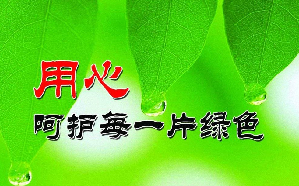 生態(tài)環(huán)境部：環(huán)保治理力度不會(huì)放寬放松